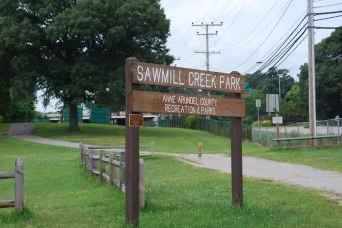 Sawmill Creek Park Hosts Beginner Pickleball Sessions