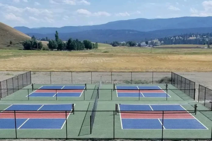 Beginner Pickleball Clinic Set for March