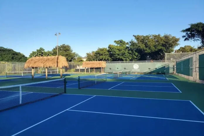 DETA Pickleball Club