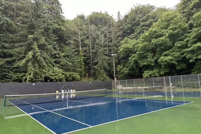Impact of Pickleball on Seattle's Wildlife