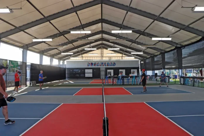 Pickleball Clinic for Beginners
