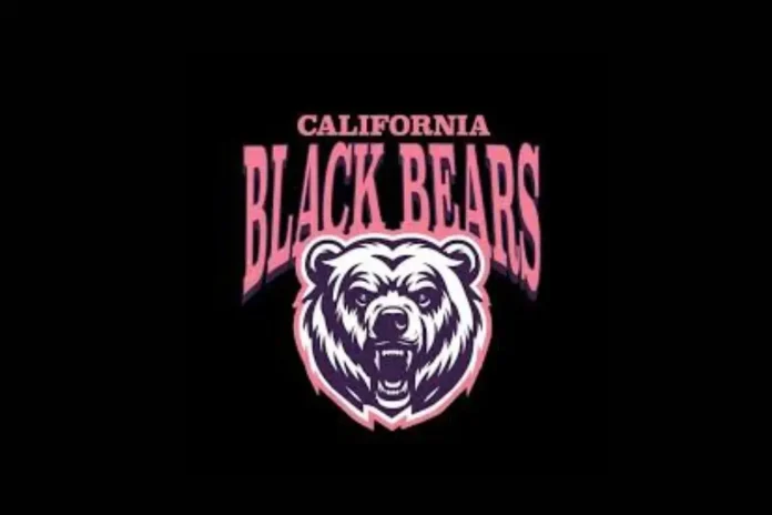 California Black Bears Pickleball Playoff Sweep California Black Bears Pickleball Playoff Sweep