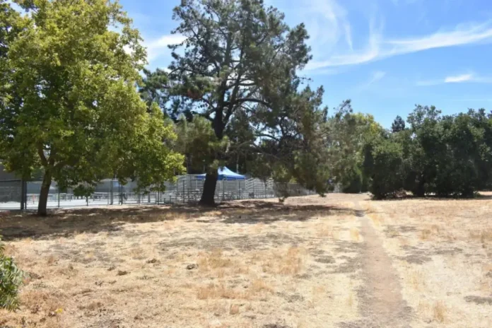 Cuesta Park Pickleball Court Controversy