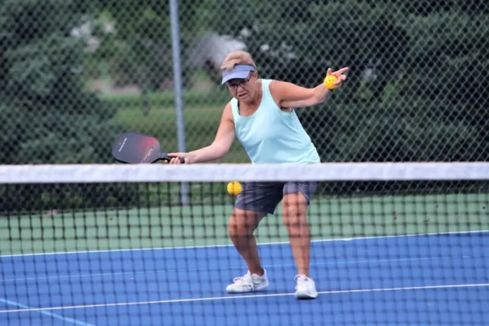 Denver Williams Park Pickleball Courts