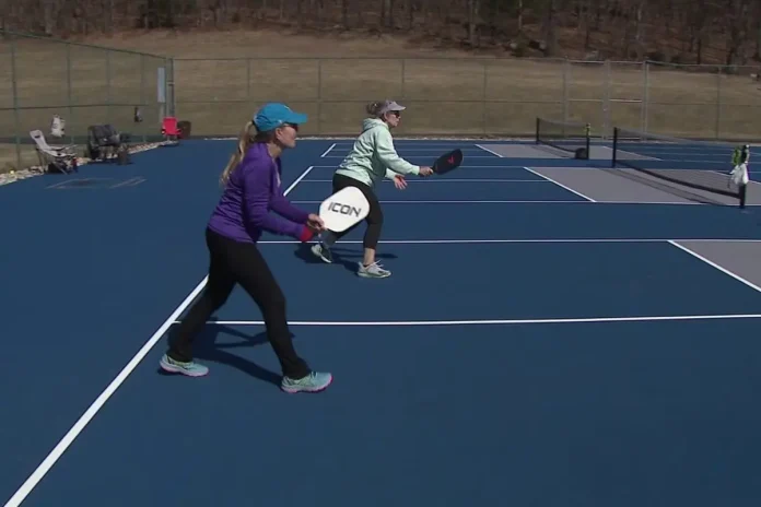 Mountain View Pickleball Court Debate