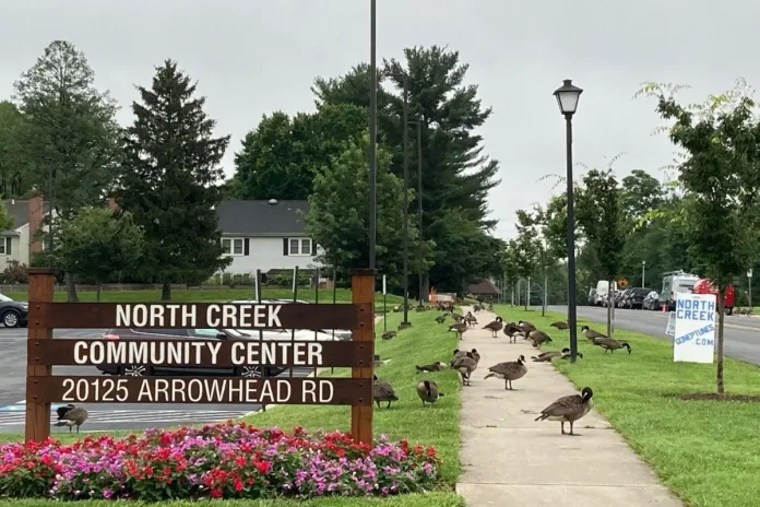Pickleball Intermediate Fall II Class