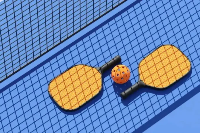 Anurag and Pushan Pickleball Triumph