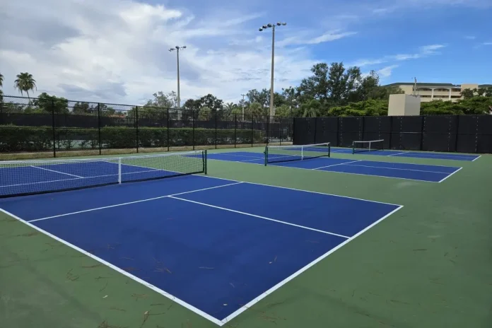 Heckscher Park Pickleball Paddle Theft