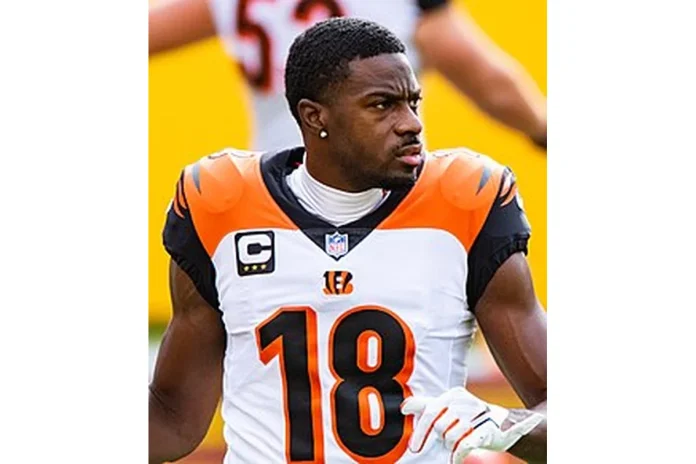 Image of A.J. Green