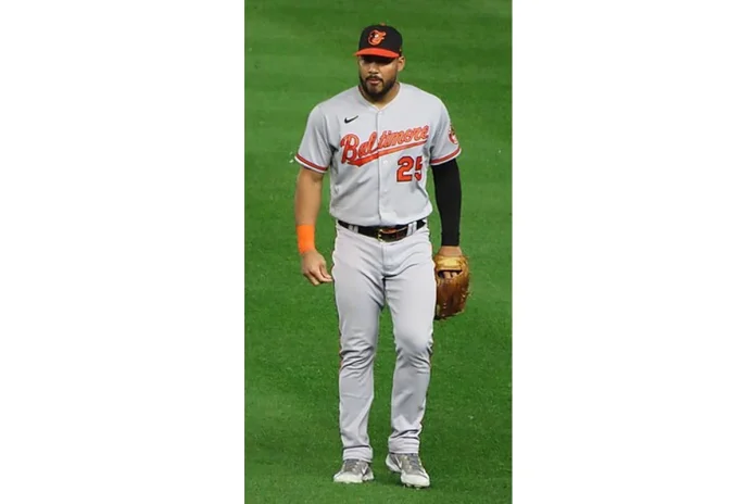 Image of Anthony Santander