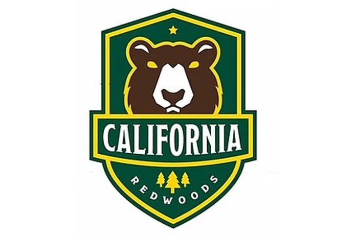 Image of California Redwoods