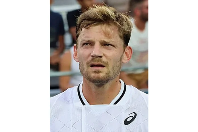 Image of David Goffin