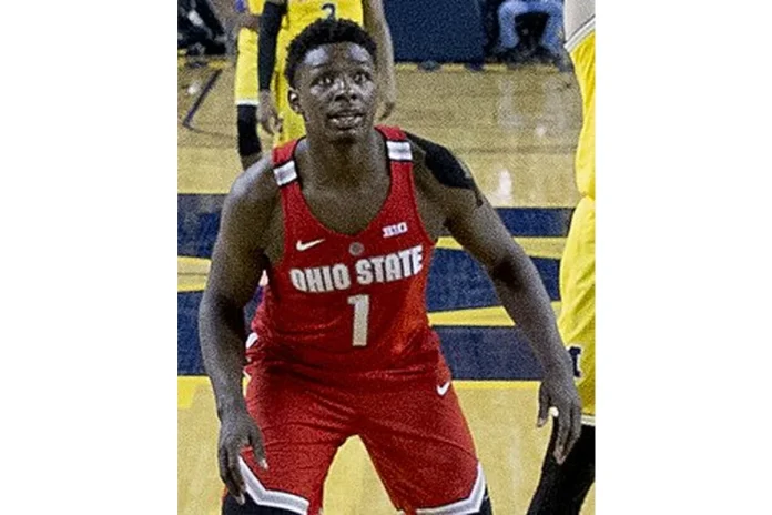 Image of Jae'Sean Tate