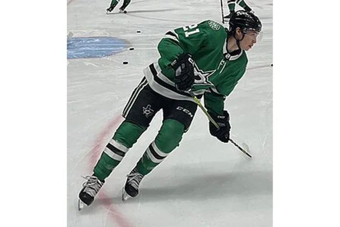 Image of Jason Robertson (Hockey)