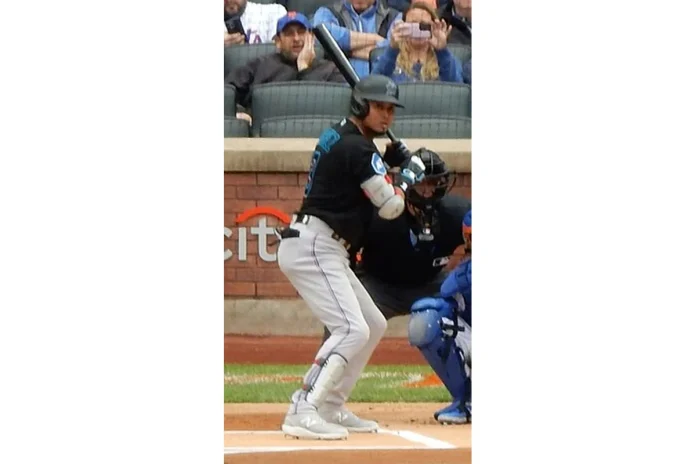 Image of Luis Arraez