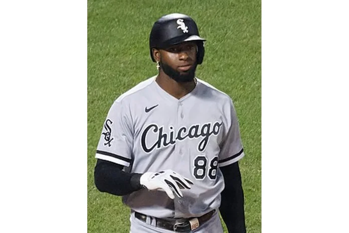 Image of Luis Robert Jr.