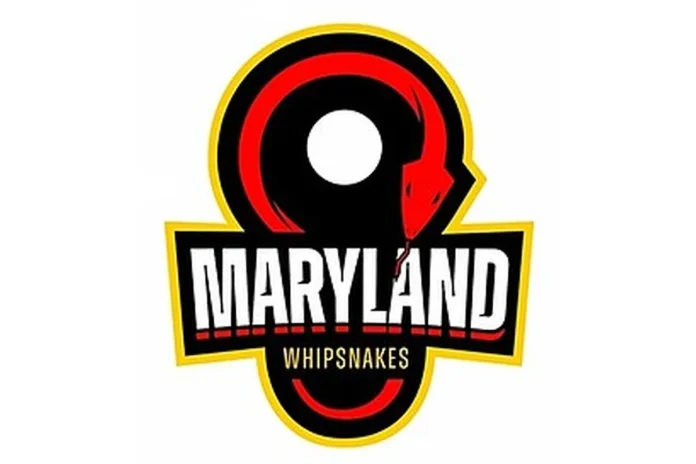 Image of Maryland Whipsnakes