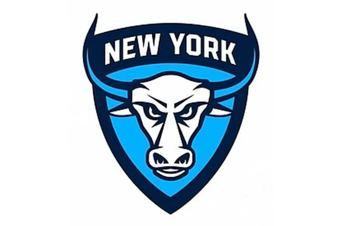 Image of New York Atlas