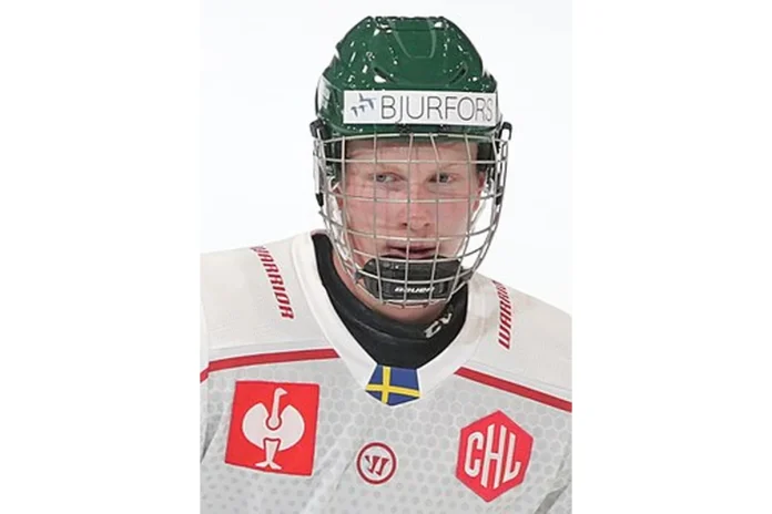 Image of Otto Stenberg