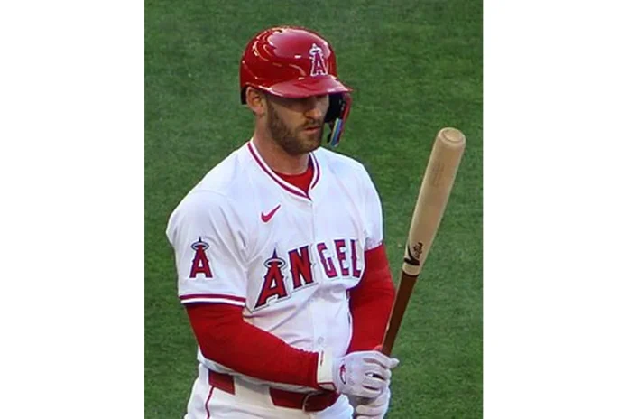 Image of Taylor Ward