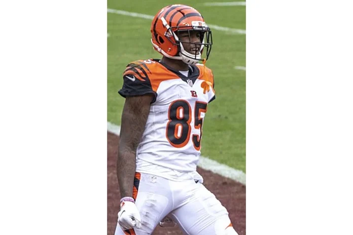 Image of Tee Higgins