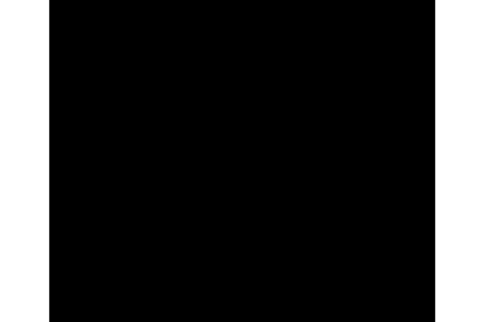 Image of Trackhouse Racing
