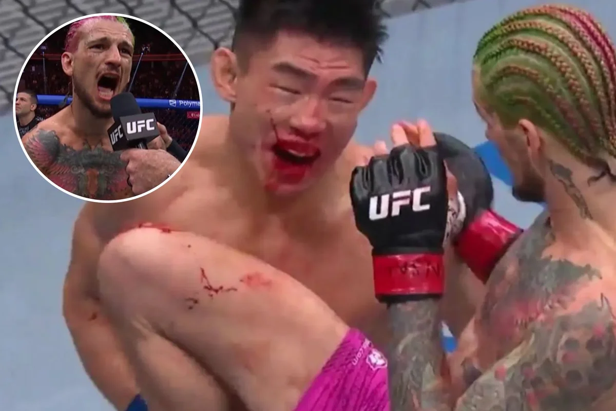 UFC