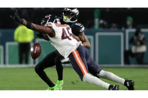 Chicago Bears Release Veteran Linebacker Amen Ogbongbemiga