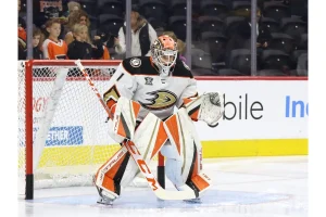 Anaheim Ducks Newcomers: Who’s Winning and Who’s Struggling?