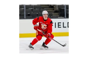 Calgary Flames Likely to Stay Quiet Before Trade Deadline