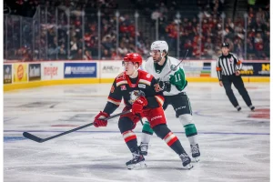 Red Wings Send Dominik Shine Back to AHL After NHL Debut