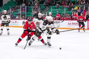 Hershey Bears vs Phantoms: Key Players to Watch Tonight