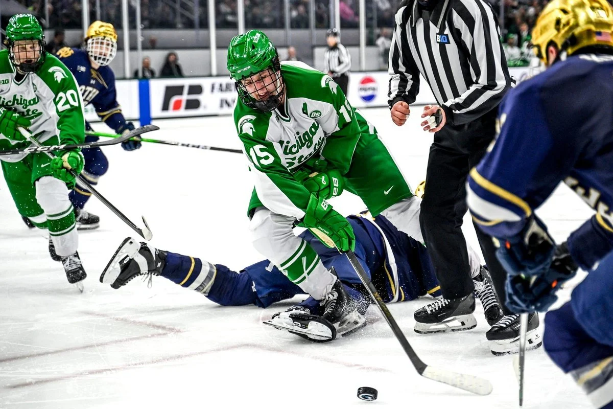 Minnesota Wild