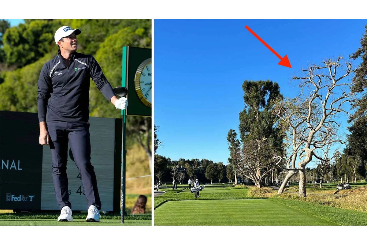 Viktor Hovland