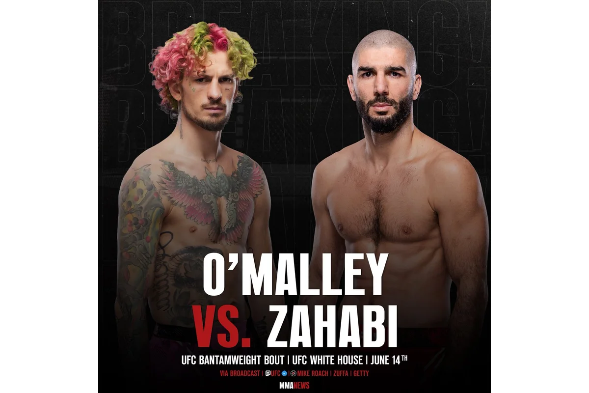 Aiemann Zahabi