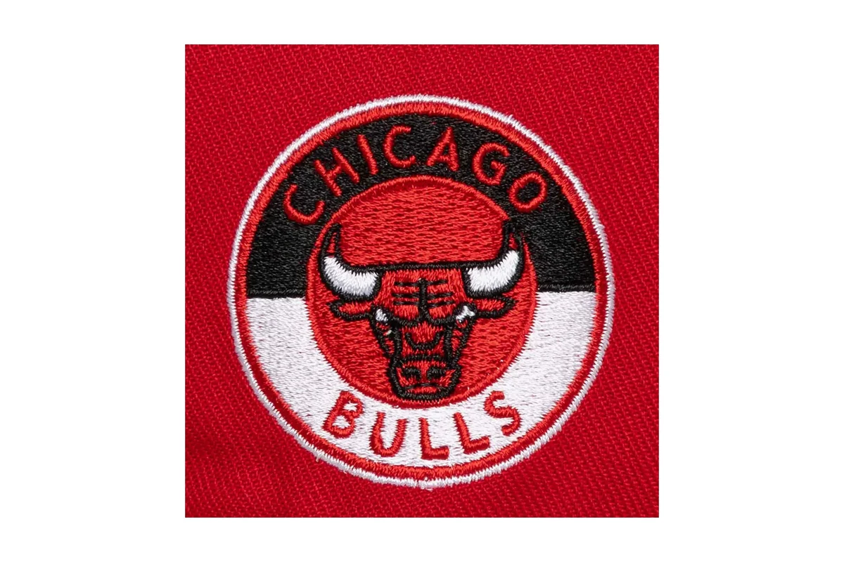 Chicago Bulls