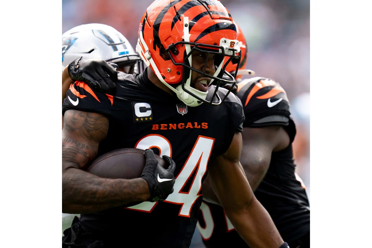 Cincinnati Bengals