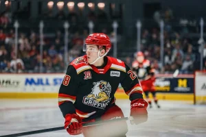 Red Wings Recall Michael Brandsegg-Nygård in Emergency Move