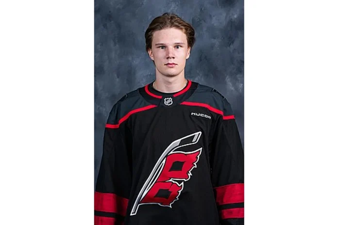 Image of Aleksi Heimosalmi