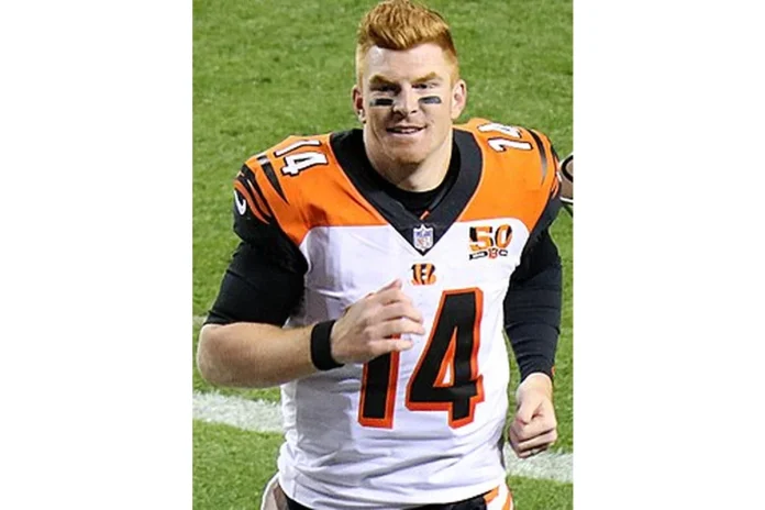 Image of Andy Dalton