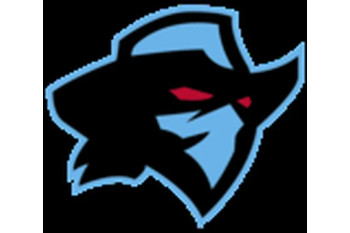 Image of Dallas Renegades