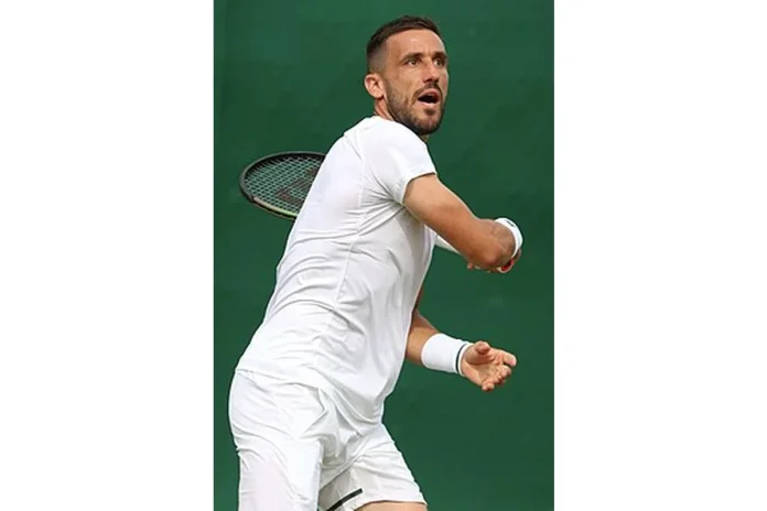 Image of Damir Dzumhur