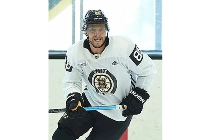 Image of David Pastrnak