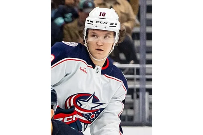 Image of Dmitri Voronkov