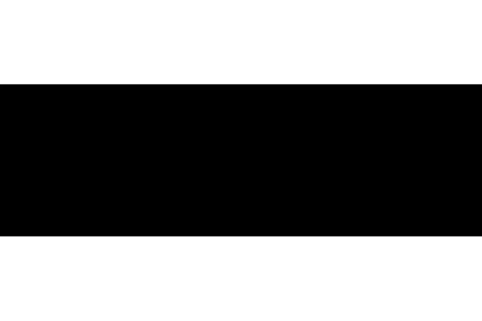 Image of Ford Multimatic Motorsports