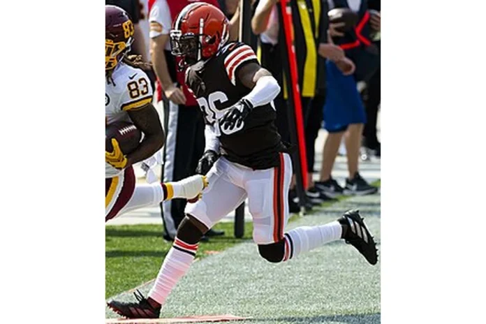 Image of M.J. Stewart