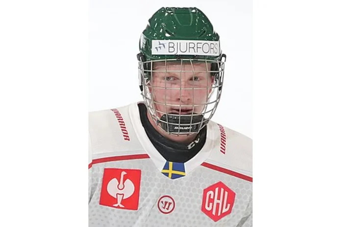 Image of Otto Stenberg