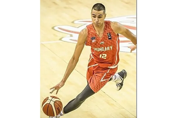 Image of Vincent Valerio Bodon